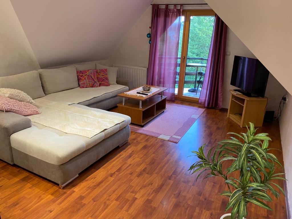 Apartments Vila Knez Zlatibor Camera foto